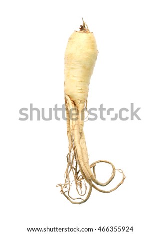 Korean ginseng isolated on white background.