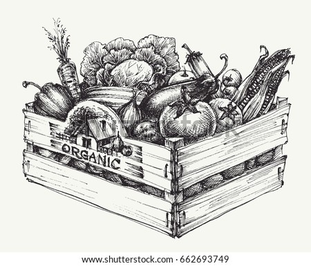 Wooden Crate Full Of Organic Food Isolated Farm Vegetables Word Written In Wooden Crate Full Of Organic Food Isolated Farm Vegetables Word Written In