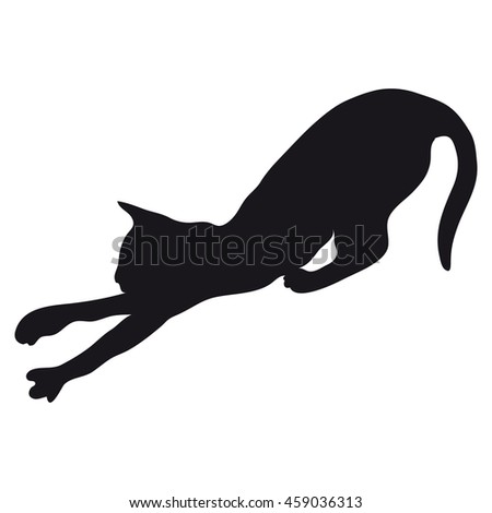 Cat With Arched Back Stock Photos, Royalty-Free Images & Vectors ...