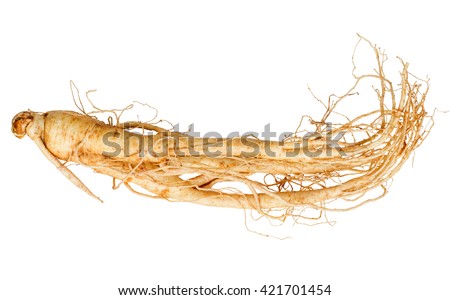 fresh ginseng root isolated on white background