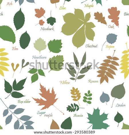 Vector Seamless Pattern Multicolor Leaves Silhouettes Stock Vector ...