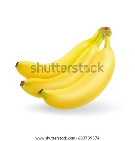Banana fruit realistic. Bunch of bananas isolated