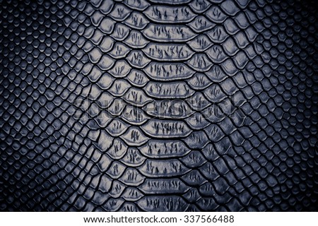 skin closeup stock images royalty free images vectors snake skin stock images royalty free images vectors skin closeup stock images royalty free images vectors snake skin stock images royalty free images vectors