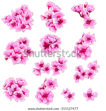 hand drawn peach blossom vector