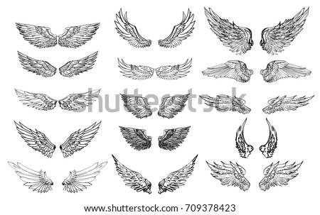 wing stock images royalty free images amp vectors wing stock images royalty free images amp vectors