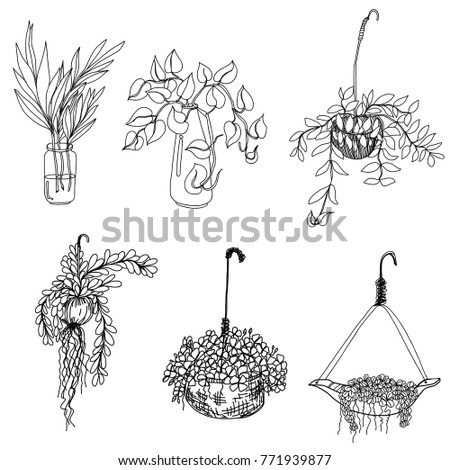 Terrarium Doodle Stock Images, Royalty-Free Images & Vectors | Shutterstock