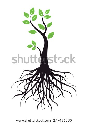 Tree Roots Dense Foliage Vector Image Stock Vector 102376003 - Shutterstock