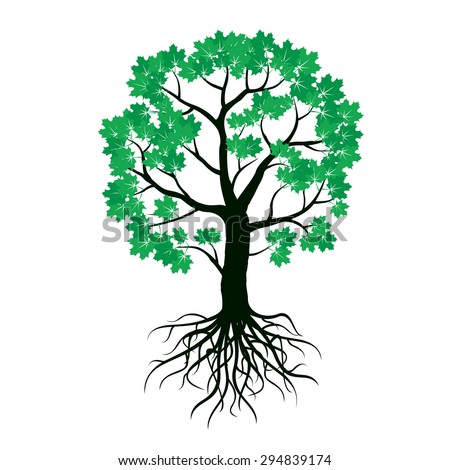 Maple Tree Stock Vectors & Vector Clip Art | Shutterstock