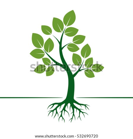 Green Vector Tree Roots Vector Illustration 스톡 벡터 532690714 - Shutterstock