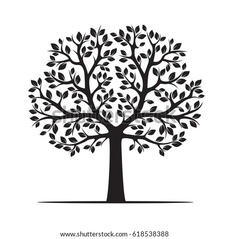 Tree Drawing Base On Artist Imagination Stock Illustration 16506508 ...