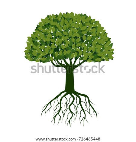 Tree Roots Vector Stock Vector 60384679 - Shutterstock