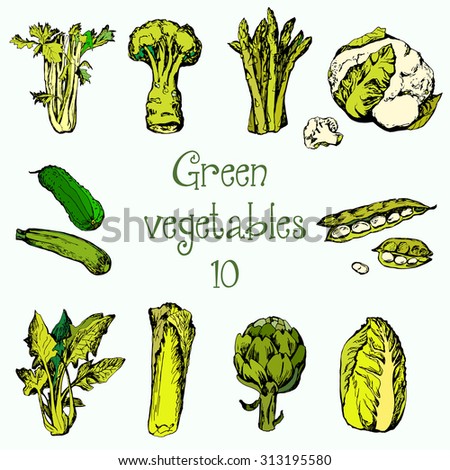 Green Vegetables Stock Vector 55195174 - Shutterstock