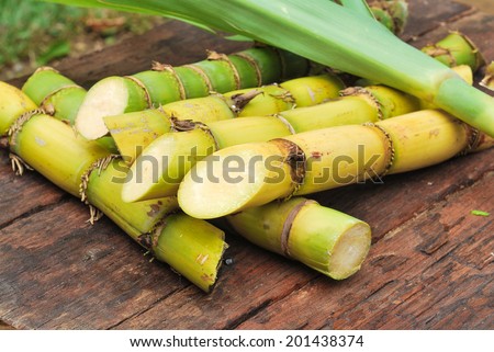 Close up Sugarcane