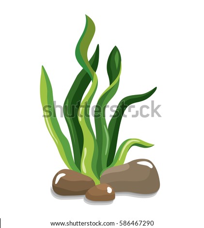 Seaweed Stock Vectors, Images & Vector Art | Shutterstock