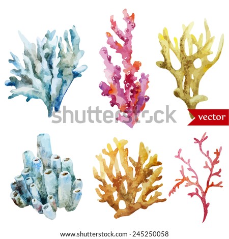 watercolor, corals, set, sponge, ocean
