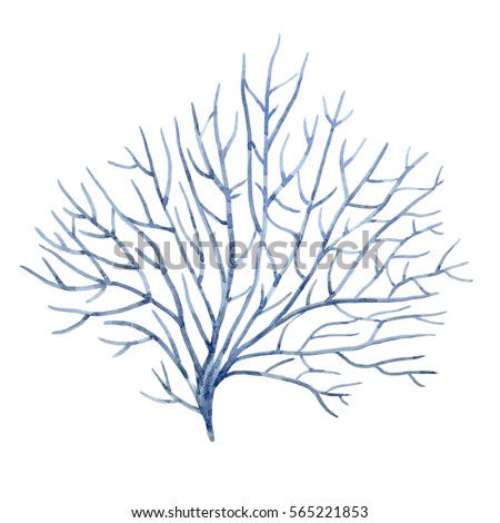 watercolor illustration of a blue coral