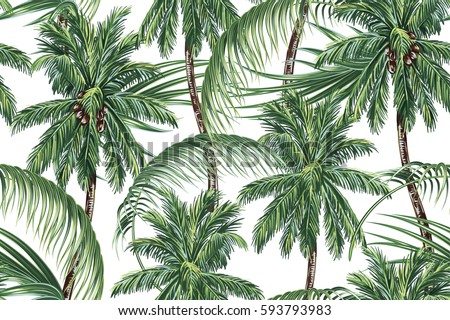 Coconut-tree Stock Images, Royalty-Free Images & Vectors | Shutterstock
