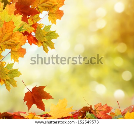 autumn leaves