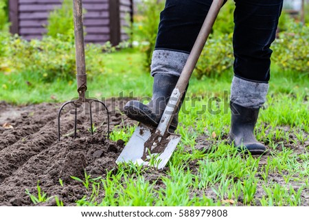 Garden Stock Images,