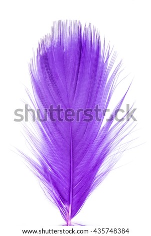 Feather Isolated Stock Photos, Images, & Pictures | Shutterstock