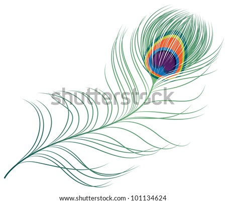 Peacock Feather Vector Stock Photos, Images, & Pictures | Shutterstock