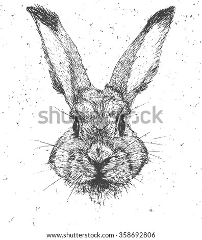 Download Vintage Graphic Rabbit Vector Print Stock Vector 358692806 ...