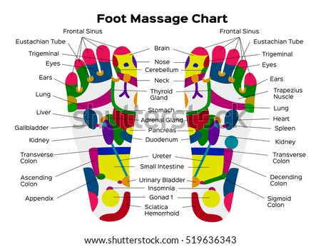 biểu đồ bấm huyệt bàn chân với mô tả chính xác của các cơ quan nội tạng tương ứng và các bộ phận cơ thể. Vector hình minh họa trên nền đen. cơ thể học