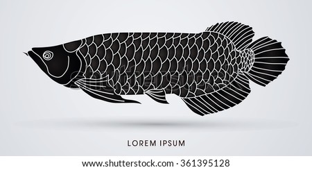 Arowana Stock Vectors, Images \u0026 Vector Art  Shutterstock