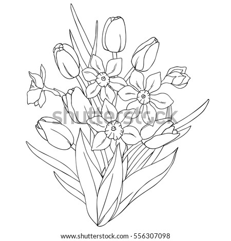 Beautiful Flowers Drawing Vector Illustration Isolated Stock Vector ...