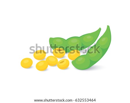 Soybean, Beans Flat design