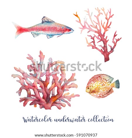 Watercolor nautical set. Hand painted underwater objects: fishes and corals isolated on white background. Sea design elements