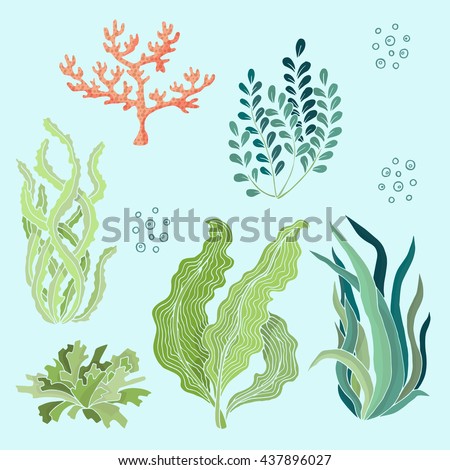 Seaweed Vector Stock Images, Royalty-Free Images & Vectors | Shutterstock