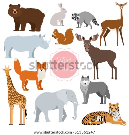 Squirrel Stock Images, Royalty-Free Images & Vectors | Shutterstock