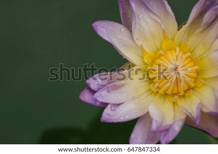 Portfolio von Visanuwit thongon auf Shutterstock