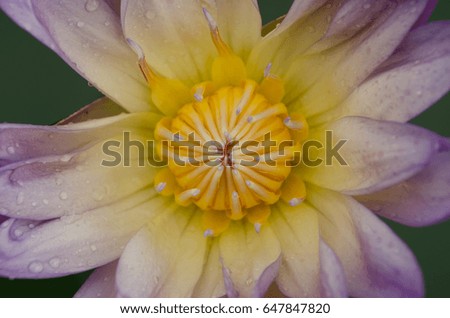 Portfolio von Visanuwit thongon auf Shutterstock