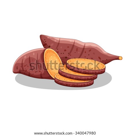 Sweet potatoes isolated on white background, illustration, vector