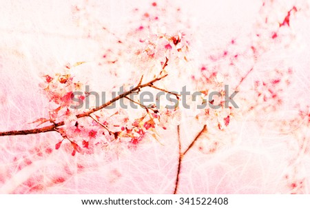Soft Blurred of sakura pink flower on mulberry paper for background with pastel vintage retro color tone.