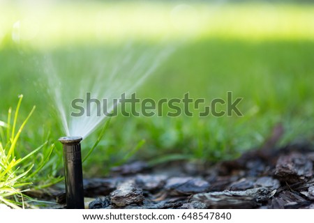 Irrigation system in function