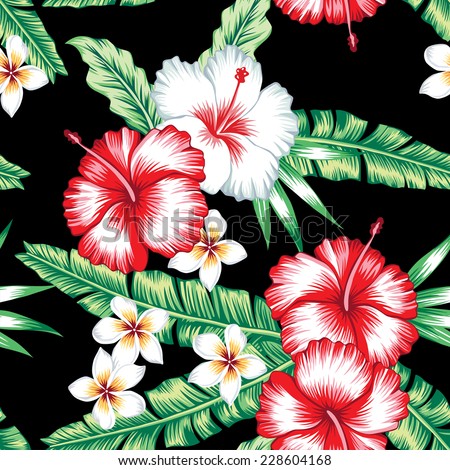 Hibiscus Stock Photos, Images, & Pictures | Shutterstock