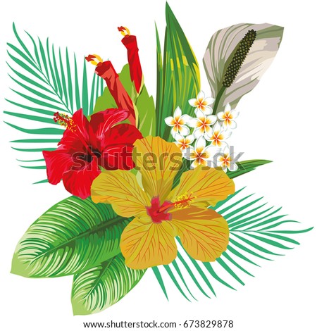 Tropical Flowers Toucan Butterflies Stock Vector 147961841 - Shutterstock