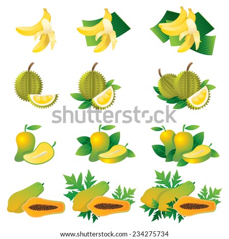 Banana, Durian, Mango, Papaya, Illustrate