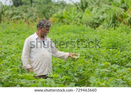 hindu single men in many farms Sarla r murgai syllabus theories countries women in the world many indian women assumed that they would take a central role in the new democratic government of india many were. hindu single men in many farms Sarla r murgai syllabus theories countries women in the world many indian women assumed that they would take a central role in the new democratic government of india many were.