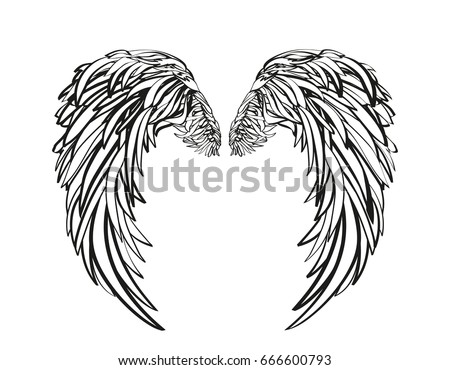 Wings Vector Illustration On White Background Stock Vector 666600793