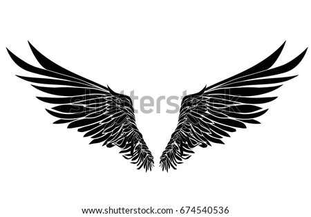 Wings Vector Illustration On White Background Stock Vector 674540536