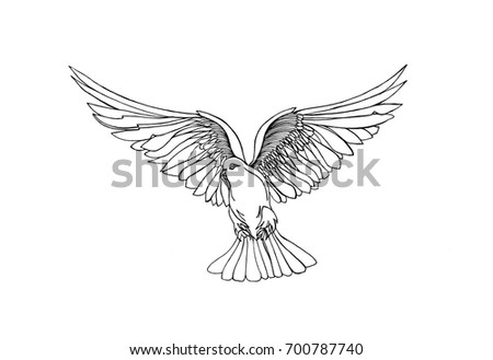 Christian Bible Dove Concept White Dove Stock Vector 130384721 ...