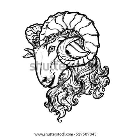 Side View Ram Head Big Twisted Stock Vector 519589843 - Shutterstock