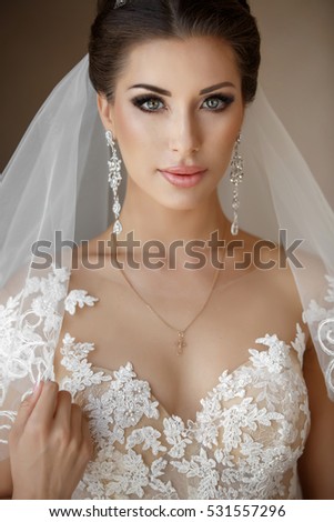 Beautiful Bride Portrait Wedding Makeup Hairstyle Stock 
