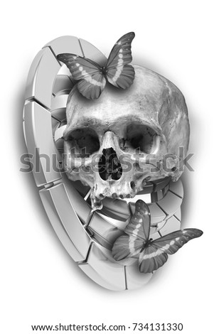 butterfly skull tattoo stock images royalty free images u0026 vectors butterfly skull tattoo stock images royalty free images u0026 vectors