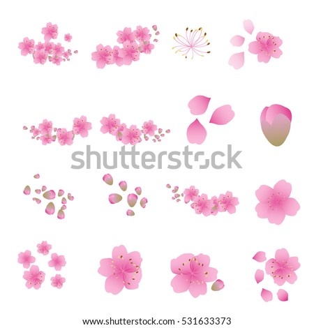  Sakura  Flowers Icon Set Cherry Blossom Stock Vector 