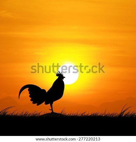 Rooster And Morning Sun Stock Images, Royalty-Free Images & Vectors ...